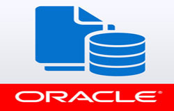 Oracle数据库管理工具有哪些?-北京球友会线上平台,球友会（中国）公司