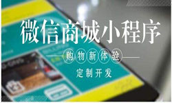 商城小程序开发、北京小程序开发哪家好？-球友会线上平台,球友会（中国）