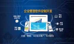 Erp球友会线上平台,球友会（中国）的发展现状-北京球友会线上平台,球友会（中国）公司锐智互动