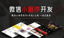 球友会线上平台,球友会（中国）公司、定制微信小程序开发，商家需要了解哪些？锐智互动球友会线上平台,球友会（中国）