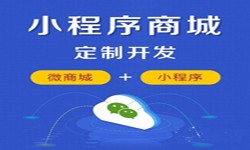 微信小程序开发、商城小程序开发功能-锐智互动球友会线上平台,球友会（中国）