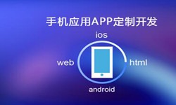 APP开发市场上常见问题分析-北京球友会线上平台,球友会（中国）公司